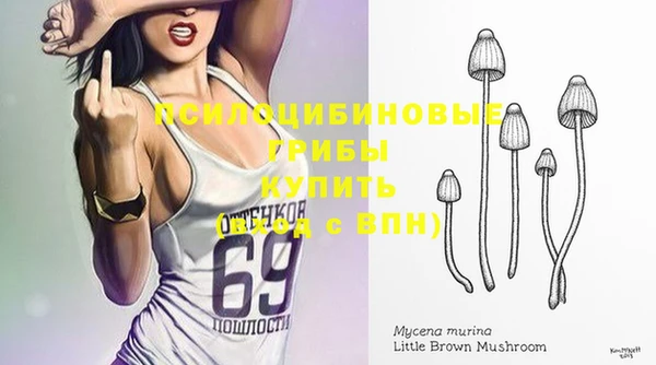 спайс Балабаново
