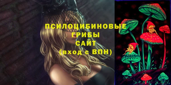 мяу мяу мука Баксан