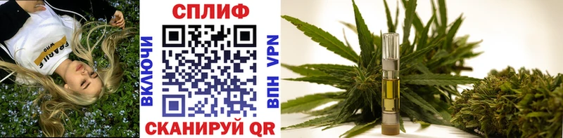 Бошки марихуана THC 21% Туринск